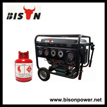 BISON(CHINA) Liquefied Petroleum Gas Power LPG Gas Generator